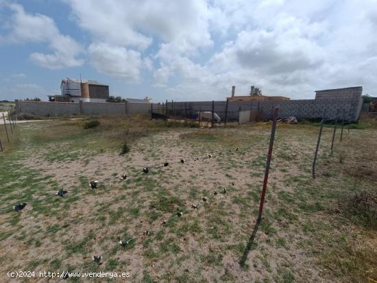 Parcela en zona La Negra - CADIZ