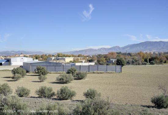 PARCELA URBANA EN ALHENDÍN CON INMEJORABLES VISTAS A LA SIERRA - GRANADA