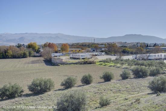 PARCELA URBANA EN ALHENDÍN CON INMEJORABLES VISTAS A LA SIERRA - GRANADA