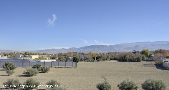 PARCELA URBANA EN ALHENDÍN CON INMEJORABLES VISTAS A LA SIERRA - GRANADA