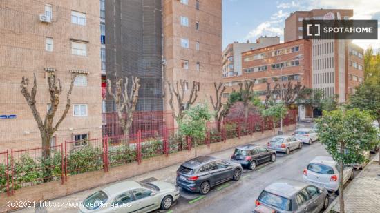 Se alquilan habitaciones en apartamento de 1 dormitorio en Salamanca - MADRID