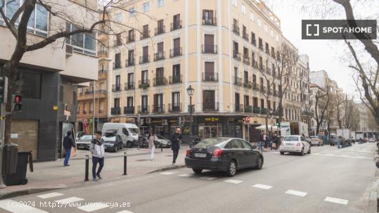 Habitación grande con escritorio en el apartamento compartido, Chamberi - MADRID