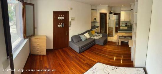  Apartamento tipo estudio en alquiler en Ategorrieta-Ulia - GUIPUZCOA 
