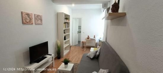  Apartamento de 1 dormitorio en alquiler en Rios Rosas - MADRID 