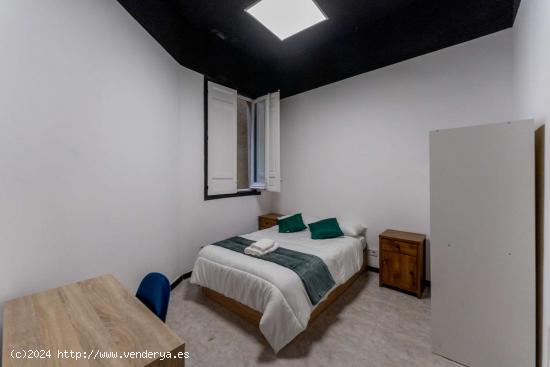 Se alquilan habitaciones en apartamento de 11 habitaciones en Centro - MADRID