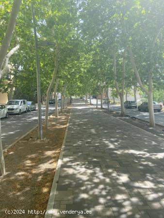 VIVIENDA CON MUY BUENOS ACABADOS, CON TRASTERO Y GARAJE - ALBACETE