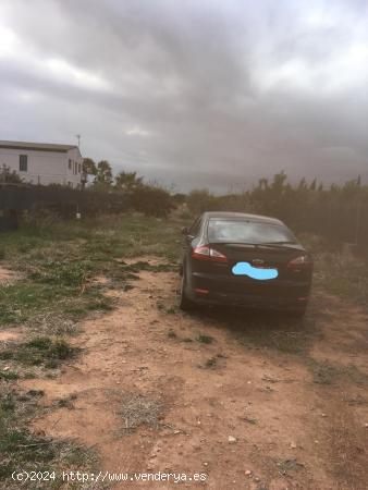 PARCELA DE 2 HANEGADAS EN CASTELLON - CASTELLON