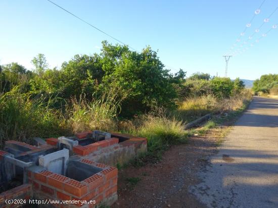 PARCELA RUSTICA, EN ZONA DE MASETS - CASTELLON