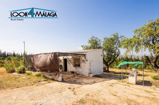 Terreno rústico con vivienda en Alhaurín de la Torre. 5500m2 - MALAGA