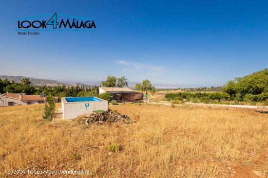 Terreno rústico con vivienda en Alhaurín de la Torre. 5500m2 - MALAGA