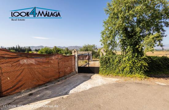 Terreno rústico con vivienda en Alhaurín de la Torre. 5500m2 - MALAGA