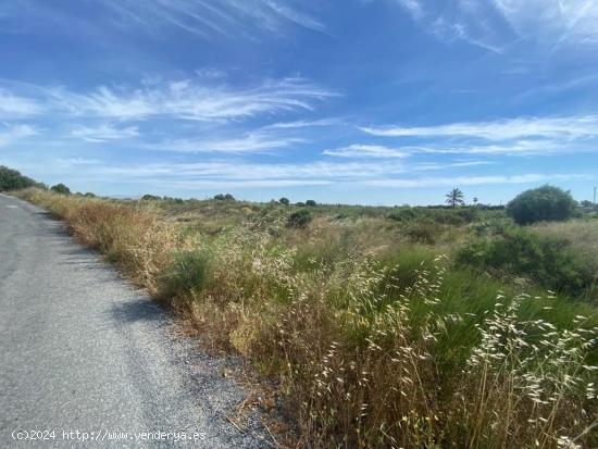 VOLVER AL CAMPO.....UN TERRENO EN UNA ZONA TRANQUILA - ALICANTE