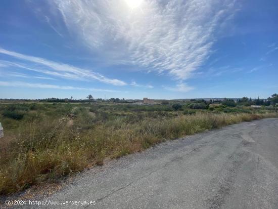 VOLVER AL CAMPO.....UN TERRENO EN UNA ZONA TRANQUILA - ALICANTE