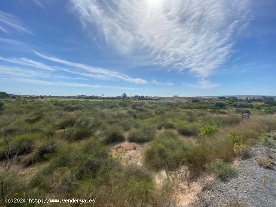 VOLVER AL CAMPO.....UN TERRENO EN UNA ZONA TRANQUILA - ALICANTE