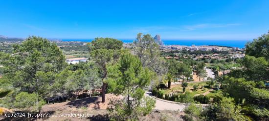  ▷Parcela de 2500 m2 en Oltamar Calpe con Vistas a la Montaña Costa Blanca Alicante - ALICANTE 