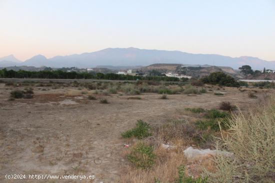 Gran terreno para lo que usted quiera hacer - ALMERIA