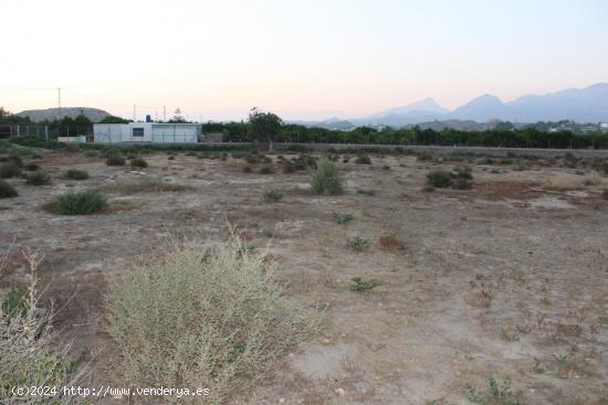 Gran terreno para lo que usted quiera hacer - ALMERIA