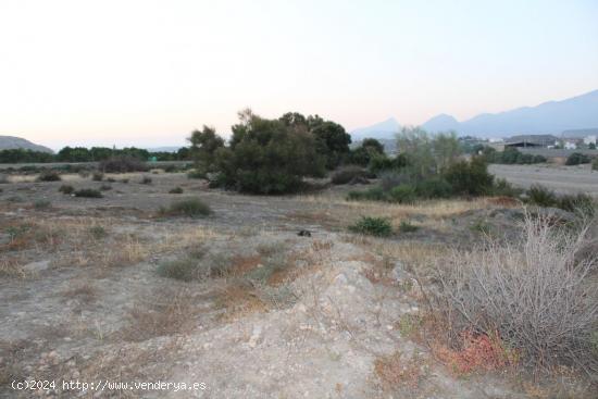 Gran terreno para lo que usted quiera hacer - ALMERIA