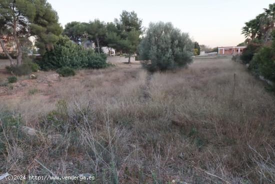 Parcela en la urbanización La Masía - VALENCIA