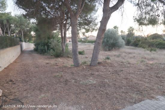 Parcela en la urbanización La Masía - VALENCIA