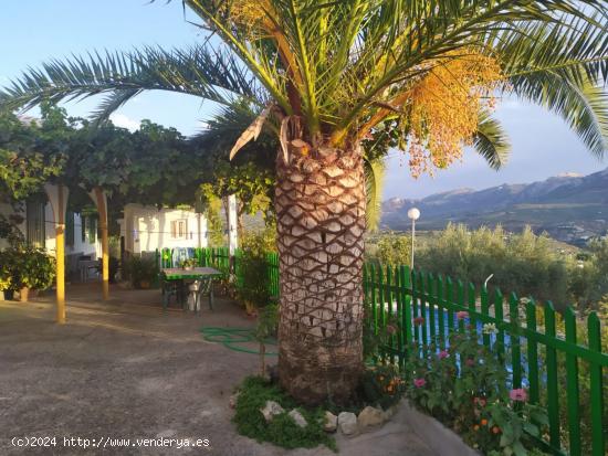 CORTIJO CON GRAN PRODUCCIÓN ACEITUNERA EN 5,5 Ha. - JAEN