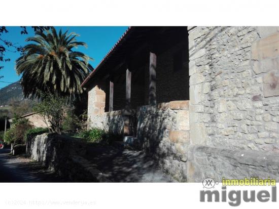 Se vende terreno urbano en Buelles, Peñamellera Baja - ASTURIAS