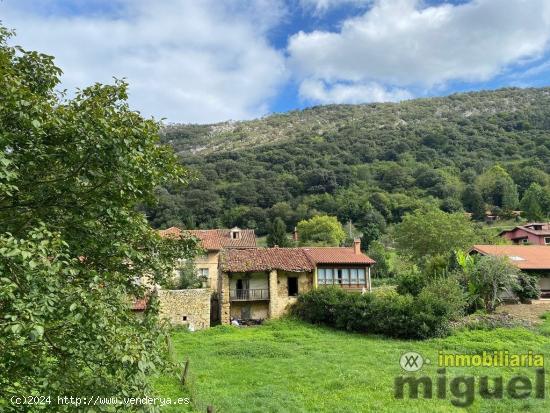 Se vende el conjunto de  dos casas para rehabilitar en Buelles, Peñamellera Baja - ASTURIAS