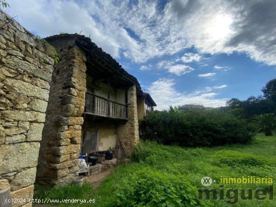 Se vende el conjunto de  dos casas para rehabilitar en Buelles, Peñamellera Baja - ASTURIAS