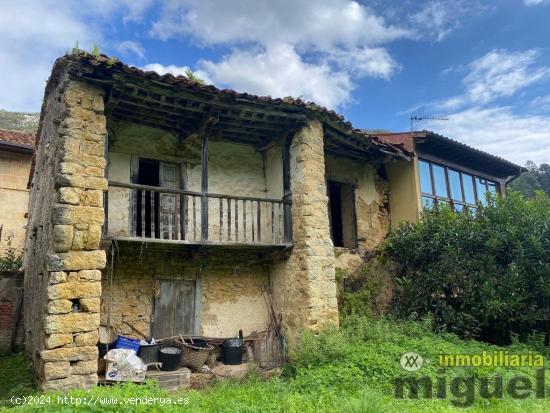 Se vende el conjunto de  dos casas para rehabilitar en Buelles, Peñamellera Baja - ASTURIAS