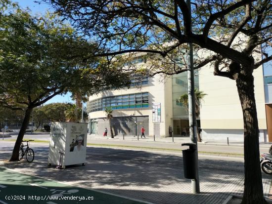 Oficina en Edificio Astarté - CADIZ