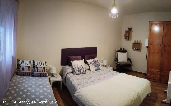 APARTAMENTO EN EL CENTRO - CADIZ