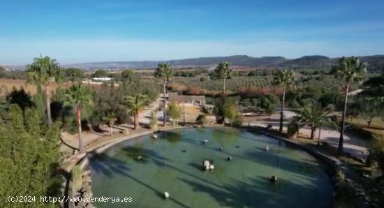 FANTASTICO CORTIJO EN ARCOS DE LA FRONTERA - CADIZ