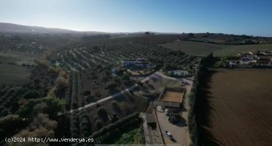 FANTASTICO CORTIJO EN ARCOS DE LA FRONTERA - CADIZ