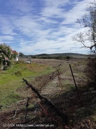  PARCELA RÚSTICA DE 6.000 METROS EN LAS INMEDIACIONES DE VEJER - CADIZ 