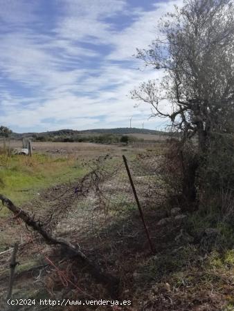 PARCELA RÚSTICA DE 6.000 METROS EN LAS INMEDIACIONES DE VEJER - CADIZ