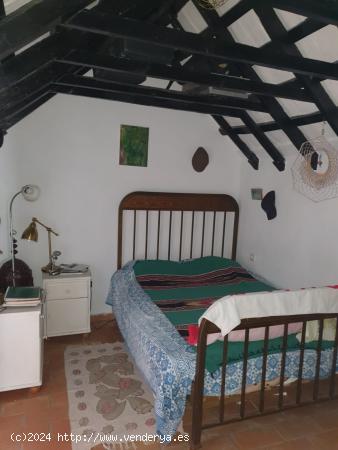 Apartamento en Casco Antiguo - CADIZ