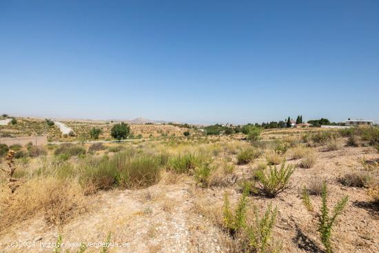 ¡Tenemos la parcela perfecta para ti! - GRANADA