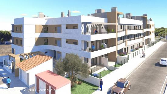 APARTAMENTO ASISTENCIAL. - ALICANTE