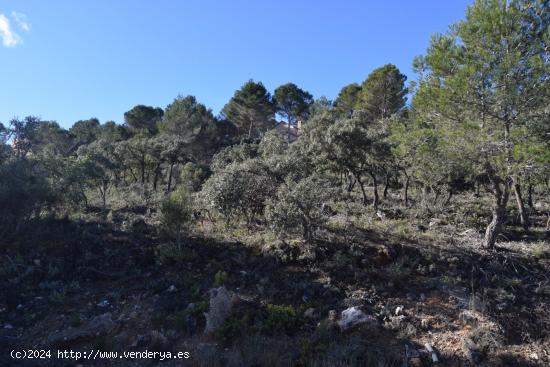 Tegeisa vende parcela con proyecto de obra!!! - GUADALAJARA