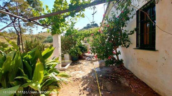 CORTIJO PARA TI Y TUS ANIMALES - MALAGA