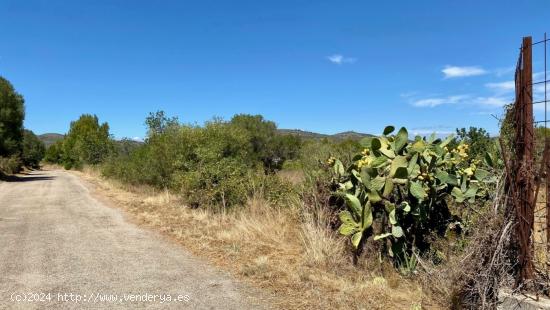 PARCELA DE TERRENO URBANO CON UNA SUPERFICIE DE 2.404 M² EN PEÑÍSCOLA - CASTELLON