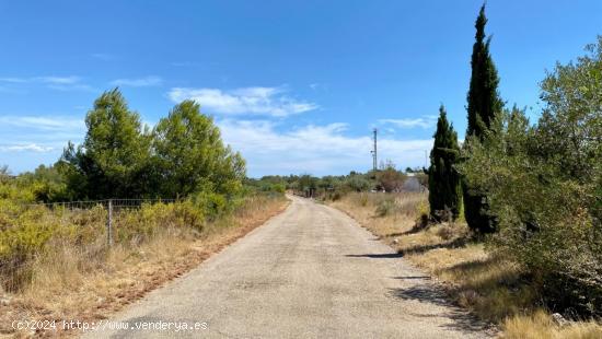 PARCELA DE TERRENO URBANO CON UNA SUPERFICIE DE 2.404 M² EN PEÑÍSCOLA - CASTELLON