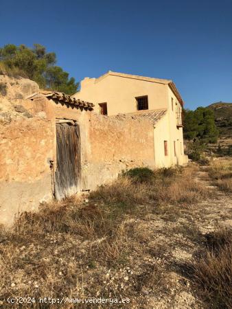 Finca rustica en Rafaeles. Abanilla con casa de dos plantas - MURCIA