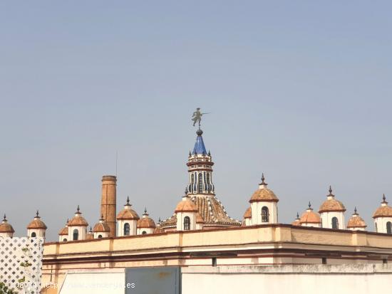 PISO CON GRAN TERRAZA Y VISTAS A GIRALDA - SEVILLA