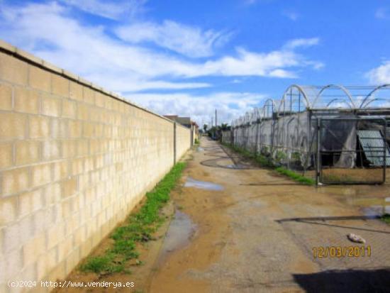 Se Vende en Chipiona - CADIZ