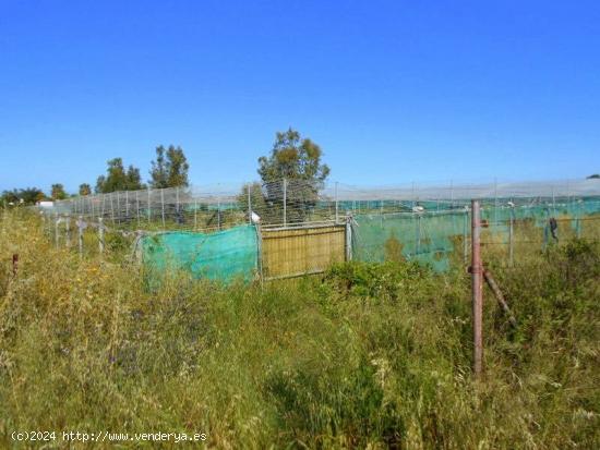 Finca rústica en Ctra de Rota - CADIZ