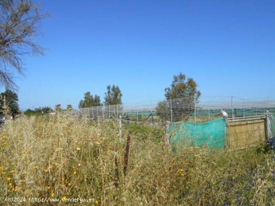 Finca rústica en Ctra de Rota - CADIZ