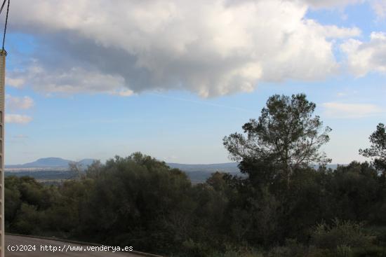 Solar URBANIZABLE en Puntero - BALEARES