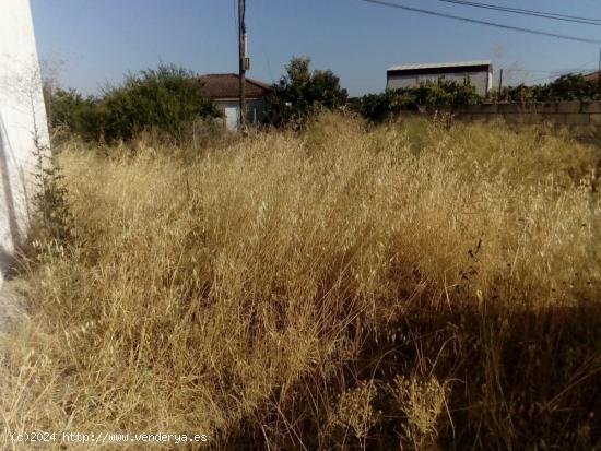 SOLAR EN ZONA URBANA EN MAJANEQUE - CORDOBA