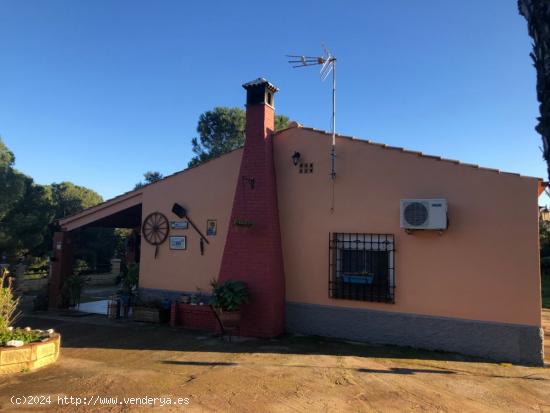 MAGNIFICA PARCELA EN PLENA SIERRA - CORDOBA